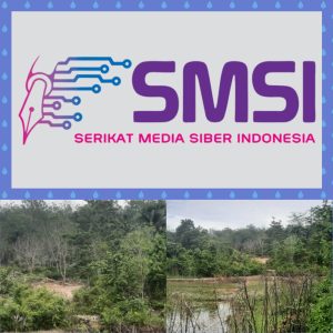 Masa tenang Pilkakam Serentak Masih Ada Tambang Emas Liar Disungai Emas , Ketua SMSI minta Kapoles Tangkap Penambang Semua