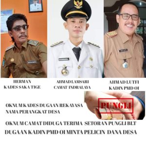 Viral! Diduga Kadis PMPD Ogan Ilir Minta Pelicin Dana Desa