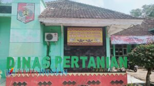 Menindak Lanjuti Pemberitaan Dugaan Mark Up Dan Fiktif Anggaran 2022 Bantuan Bibit Kambing Dinas pertanian Lampura, Ini Penjelasan Sederajat Mega.