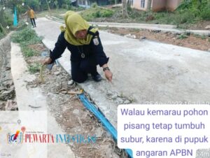 Pembangunan Rabat Beton dan Siring Pasang Dikampung Banjar Masin Diduga Jadi Ajang Korupsi Berbagai Pihak