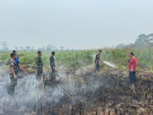 Tim patrol Satgas Karhutla Kodim 0402/OKI Berhasil Padamkan Api.
