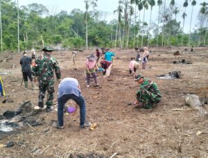 Terus Sukseskan Ketahanan Pangan, Babinsa Koramil Baradatu Bantu tanam padi.