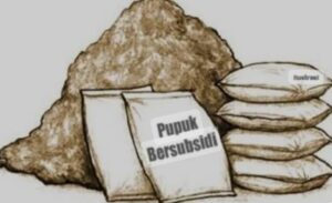 Aparat Penegak Hukum Diminta Mengusut Penyaluran Pupuk Subsidi Di DKPTPHP Kabupaten Sanggau