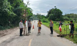 Gorong gorong jalan Nasional Simpang Tanjung Pecah Dan Berlobang Akibat Curah Hujan Tinggi