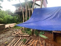Satuan Reserse Kriminal (Sat Reskrim) Polres Ketapang Berhasil Mengungkap Kasus Ilegal Logging di wilayah Kecamatan Sandai,