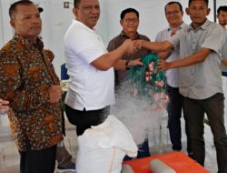 PJ Bupati Kepulauan Mentawai, Berikan Bantuan Hibah.Jaring, Mesin Tempel Dan Coplbox 