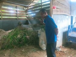 Subagio, Ketua Kelompok Mulya Asri Sidokayo Akui Potong Sapi dan Jual Bantuan Pemerintah