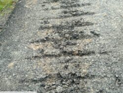 Diduga Oknum Supir Alat Berat Excavator Melanggar UU Nomor. 22 Tahun 2009, & Keputusan Menteri Perhubungan Nomor. 69 Tahun 1993, Serta Keputusan Menteri Perhubungan Nomor. KM 30 Tahun 2002