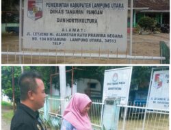 Bantuan Sapi Kelompok Tani Dugaan Disembelih Oleh Ketua Gapoktan “Wagio” Empat Ekor