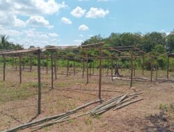 Kepala Desa Damarpura. Gunakan Uang Pribadi Dirikan Pasar Rakyat