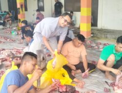 Polres Agam Sembelih 6 Ekor Hewan Qurban Dibagikan ke masyarakat Sekitarnya