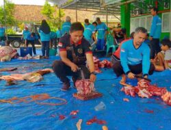 Kementerian Agama Kab OKU Selatan Sembelih 9 Ekor Hewan Kurban