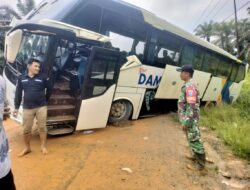 Bus DAMRI Nomor Polisi KB 7027 SL Kecelakaan Tunggal DiSekadau