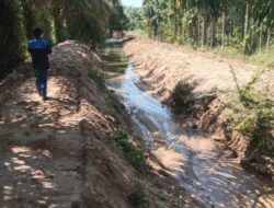 Pembuangan Limbah dan Amdal Pabrik PT Agro Gading Sejahtera Menjadi Sorotan