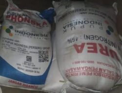 Mahalnya Harga Pupuk Bersubsidi Membuat Masyarakat Desa Seri Menanti Dan Sekitarnya Menjerit