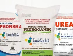 Lonjakan Harga Pupuk Subsidi di Desa Bayur, OKU Selatan: Warga Tertekan, Aparat Diminta Bertindak