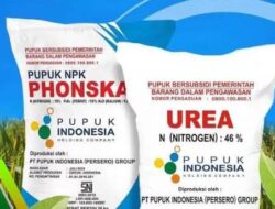 Alasan Upah Angkut, Pengecer Dia Tanjung Bulan Jual Pupuk Subsidi Tinggi