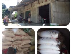 Penjualan Pupuk Bersubsidi Di Mekakau Ilir Cekik Para Petani Hinga Dapat Ancam Gagal Panen