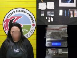 Seorang IRT Di-tangkap Karna Sabu