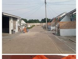 Warga Resah, Lalat Bertaburan Diperumahan METRIX