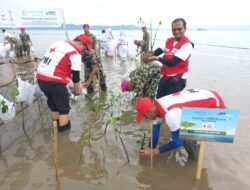 PMI Lampung ikut dalam Penanaman Pohon Mangrove di Marines EcoPark Pesawaran