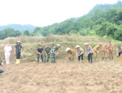 Penanaman Jagung Serentak 1 Juta Hektar di Desa Subik, Lampung Utara