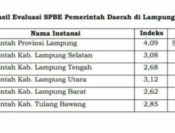 Pemkab Lampung Selatan bersama 614 Instansi Pusat dan Pemerintah Daerah (IPPD) lainnya menerima Hasil Evaluasi