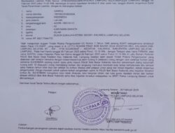 Ketua LSM GMBI Distrik Tubaba Meminta Presiden Prabowo Subianto, Kapolri, Kapolda dan Kapolres Lampung Selatan Tangkap Pelaku Aksi Premanisme