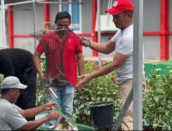 Program pembinaan ketahanan pangan, Lapas Kotabumi panen raya ikan lele