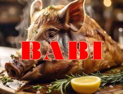 Babi