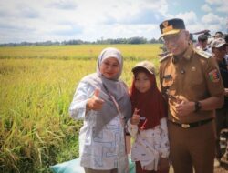 Petani Lampung Sambut Gembira Panen Raya, Pemerintah Pastikan Harga Gabah Menguntungkan