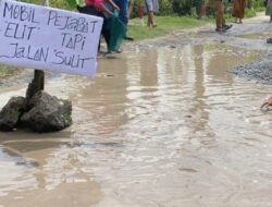 Bupati Lampung Selatan Tanggapi Aksi Protes Warga Menabur Ikan Lele dijalan Rusak
