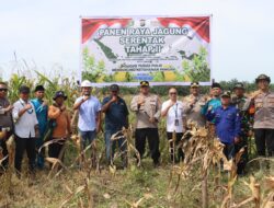 Realisasikan Program Ketahanan Pangan Polres Dumai Laksanakan Panen Raya Jagung Serentak Tahap II