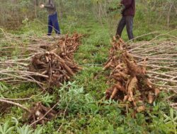 Pasar Tak Ramah Petani: Saat Regulasi Belum Mampu Menjaga Keseimbangan