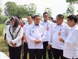 BUPATI LAMPUNG UTARA KUNJUNGI BUMDES FAJAR GADING LESTARI DI KEMBANG GADING, SIAP WAKILI LAMPUNG DI TINGKAT NASIONAL