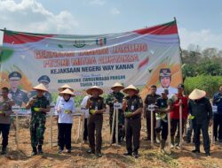 Kajati lampung Laksanakan Gerakan Tanam Jagung Bersama Petani Mitra Adhyaksa Way Kanan 