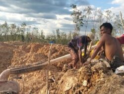 Pasca Razia Gabungan, Aktivitas Tambang Ilegal Masih Berjalan di PTPN 7, Kemana APH