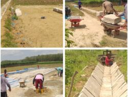 ‎Proyek Siluman Pembangunan Saluran Air Irigasi Menggunakan Beton Precast Diduga dikorupsi