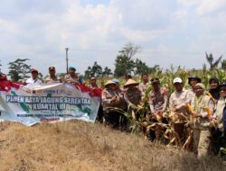 Polres Way Kanan Ikuti Zoom Meeting Panen Jagung Serentak Kuartal III di Baradatu