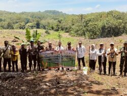 Polres Way Kanan Tanam Jagung Serentak Kuartal IV di Kasui Pasar