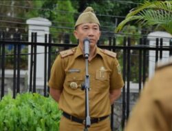 Lampung Inisiatif Perkuat Kemitraan Petani dan Industri Tapioka Hadapi Tekanan Harga Global
