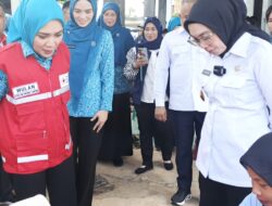 Ketua PMI Provinsi Lampung Batin Purnama Wulan Sari Serahkan Bantuan Kursi Roda dan Alat Dengar di Way Kanan