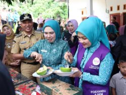 Ketua TP. PKK Provinsi Lampung Purnama Wulan Sari Mirza Gelar Kunjungan Kerja ke Lampung Barat, Canangkan Desa TAPIS