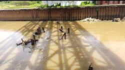 PT Agung Maju Wira KSO, Pemenang Proyek Jalur KAI Diduga Menyisakan Limbah Didalam Sungai