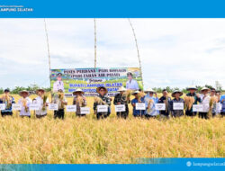 Bupati Lampung Selatan Mengapresiasi Inisiatif Para Petani Mengubah Lahan Bekas Menjadi Areal Persawahan Produktif