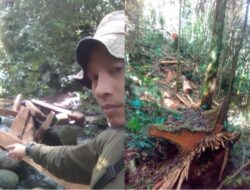 Deforestasi Mengkhawatirkan: Luas Hutan Indonesia Terus Menyusut, Bagaimana Nasib TNKS dan Hutan Lindung di Sumbar?