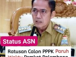 Kesejahteraan Belum Terjamin, Ratusan Calon PPPK Paruh Waktu Palembang Pilih Mundur