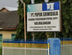 Warga RT 7 Desa Kalibalangan Meminta Bantuan Tahap II Dari Gudang Pupuk PT.Pusri Segera di Realisasikan
