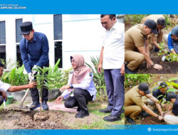 (PPPK) Paruh Waktu di Lampung Selatan Serentak Melakukan Aksi Penanaman Pohon Melalui kampanye Bertajuk “Pohon Asuh”