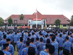 Polemik P3K Paruh Waktu di OKI: Dilantik Meriah, SK Misterius?